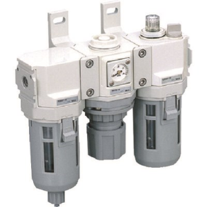 Bộ lọc khí C3000-10-W